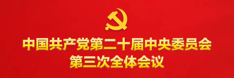 學習貫徹習近平總書記在省部級專題研討班開班式上的重要講話精神（2024年10月29日）